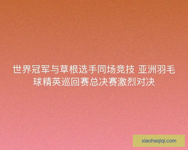 世界冠军与草根选手同场竞技 亚洲羽毛球精英巡回赛总决赛激烈对决